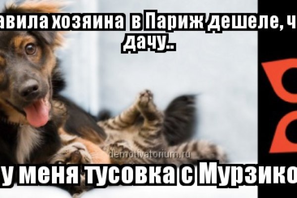 Кракен сайт 2krnk