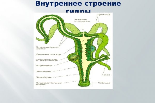 Ссылка кракен зеркало тор