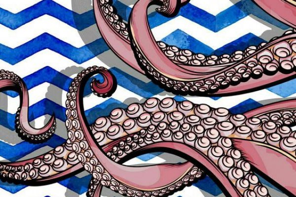 Kraken как найти ссылку